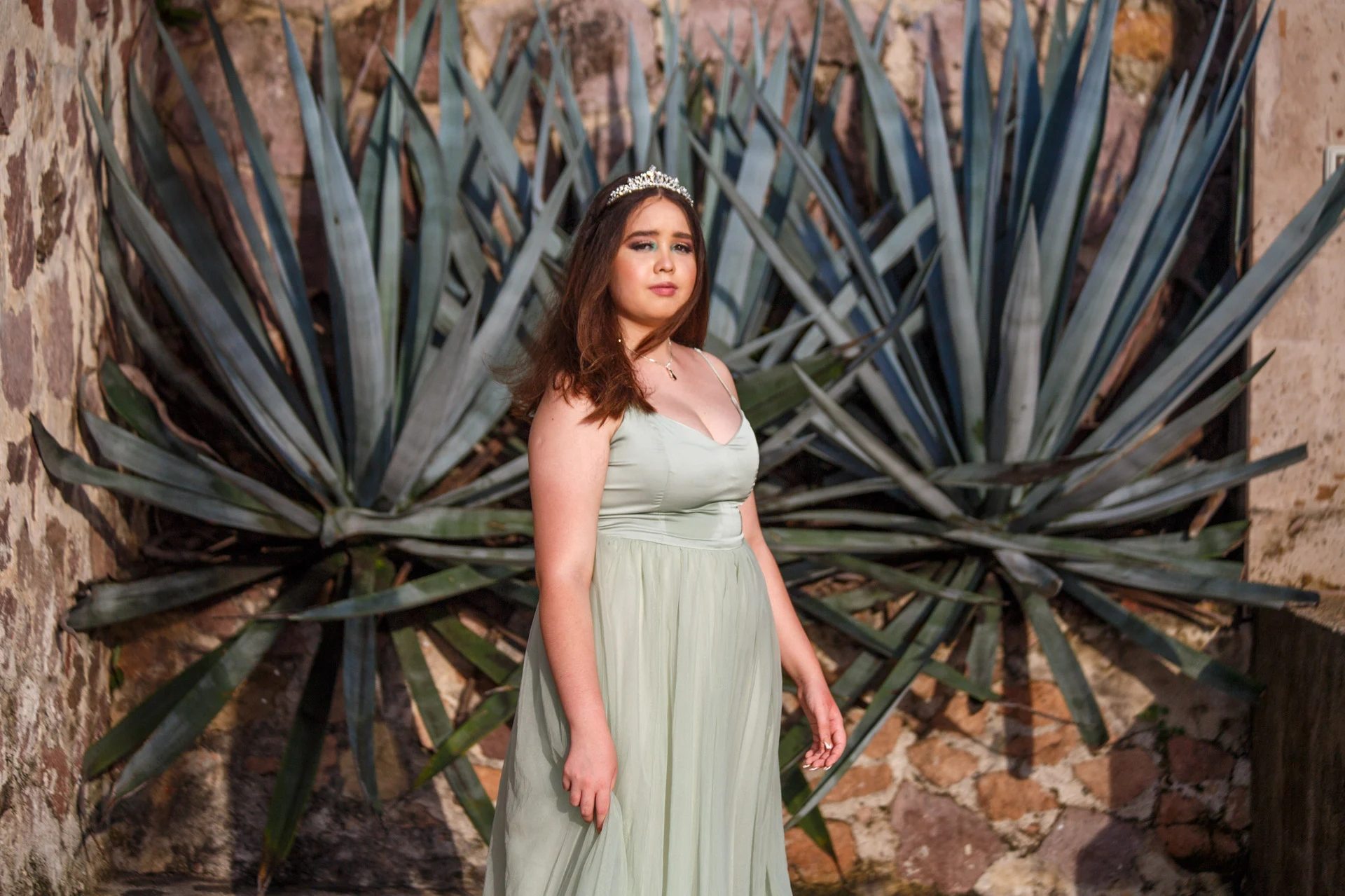 Quinceañera Agave